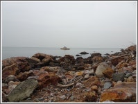 부산 가덕도 갈맷길 매봉 연대봉 - 개인산행/사진 - 광주에코힐링 부산 가덕도 갈맷길 매봉 연대봉