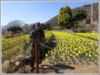 거제 구조라성 망산 - 개인산행/사진 - 광주에코힐링 거제 구조라성 망산