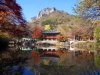 새만금산악회 11월 산행(11.15(토), 전남 장성 백암산(741m)) - 정기산행공지 - 군산 새만금산악회 새만금산악회 11월 산행(11.15(토), 전남... 