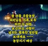 성탄절 인사드립니다 ~~~ - 2025년 주말농장 - 왕버들주말농장 성탄절 인사드립니다 ~~~