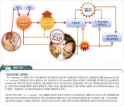 [청주탈모][청주탈모관리] 청주탈모관리전문 모사랑 - 모사랑청주점 탈모 성공 사례 - 메이리스칼프 두피탈모관리전문센터 [청주탈모]... 