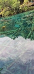 구채구 1 - ㅡㅡㅡㅡ해 외 산 행 - 용인늘푸른산악회 구채구 1