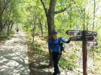 (93)2014년 5월 3일 대구 산성산-앞산-고산골 - 항복의 기록전 산행모음 - 알지돼지국밥 (93)2014년 5월 3일 대구 산성산-앞산-고산골