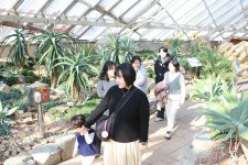 20260117 서천 국립생태원 에코리움, 군산 진포해양공원 - 가족사진 - 가을여행 개인카페 20260117 서천 국립생태원 에코리움, 군산... 