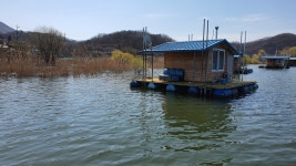 조황정보 - ★초평지,초평낚시터,초평저수지,초평팔팔좌대,초평팔팔낚시터★ 3월29일 초평저수지 #초평지 #초평낚시터 #초평호 #팔팔좌대