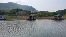 초평저수지 #초평지 #초평낚시터 #초평호 #팔팔좌대 - 조황정보 - ★초평지,초평낚시터,초평저수지,초평팔팔좌대,초평팔팔낚시터★ 5월17일... 