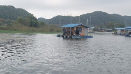 초평팔팔낚시터★ 21년 09월 30일 09시30분  5502님!! #초평저수지 #초평지 #초평낚시터 #초평호 #팔팔좌대 #초평지좌대 #초평지조황