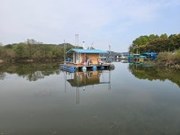 [25년10월26일 초평지 팔팔좌대 조황] - 조황정보 - ★초평지,초평낚시터,초평저수지,초평팔팔좌대,초평팔팔낚시터★ [25년10월26일 초평지... 