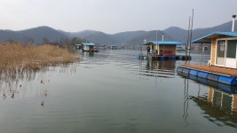 초평저수지 #초평지 #초평낚시터 #초평호 #팔팔좌대 - 조황정보 - ★초평지,초평낚시터,초평저수지,초평팔팔좌대,초평팔팔낚시터★ 3월1일... 