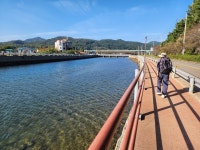 남파랑길 제8차 당동항~통영 황리사거리(13-2코스)~통영 충무도서관... 황리사거리(13-2코스)~통영 충무도서관(14코스)~ 신거제대교(15-1코스)... 
