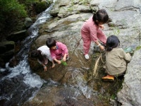 숲자람터 활동 엿보기 - 숲자람터 소식 - 생명과 평화를 사랑하는 앞산마을학교 생명과 평화를 사랑하는  앞산마을학교