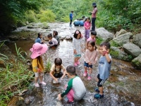 숲자람터 활동 엿보기 - 숲자람터 소식 - 생명과 평화를 사랑하는 앞산마을학교 생명과 평화를 사랑하는  앞산마을학교