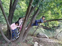 숲자람터 활동 엿보기 - 숲자람터 소식 - 생명과 평화를 사랑하는 앞산마을학교 생명과 평화를 사랑하는  앞산마을학교