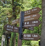 2021.6.21 앞산~전망대~안일사~대덕식당 - 산행후기 - 삼덕산사랑 (산 & 바이크) 2021.6.21 앞산~전망대~안일사~대덕식당