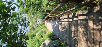 2021.6.21 앞산~전망대~안일사~대덕식당 - 산행후기 - 삼덕산사랑 (산 & 바이크) 2021.6.21 앞산~전망대~안일사~대덕식당