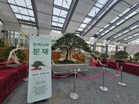 1004섬분재공원/겨울꽃축제 - ◈자유도보 사진 - 진주라천리길 (워킹진주) 1004섬분재공원/겨울꽃축제