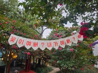 1004섬분재공원/겨울꽃축제 - ◈자유도보 사진 - 진주라천리길 (워킹진주) 1004섬분재공원/겨울꽃축제