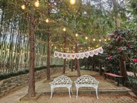 1004섬분재공원/겨울꽃축제 - ◈자유도보 사진 - 진주라천리길 (워킹진주) 1004섬분재공원/겨울꽃축제