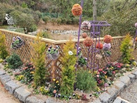 1004섬분재공원/겨울꽃축제 - ◈자유도보 사진 - 진주라천리길 (워킹진주) 1004섬분재공원/겨울꽃축제