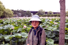 세미원~3 - 내 출사 걷기 사진 - 사랑과 정보 마당 세미원~3