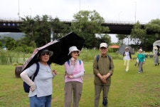 세미원~3 - 내 출사 걷기 사진 - 사랑과 정보 마당 세미원~3