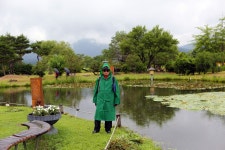 세미원~3 - 내 출사 걷기 사진 - 사랑과 정보 마당 세미원~3