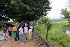 세미원~2 - 내 출사 걷기 사진 - 사랑과 정보 마당 세미원~2