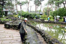 세미원~3 - 내 출사 걷기 사진 - 사랑과 정보 마당 세미원~3