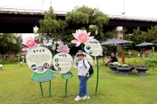 세미원~3 - 내 출사 걷기 사진 - 사랑과 정보 마당 세미원~3