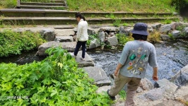 6/15(일)영덕천 맑은 하천 만들기 답사 - 답사방 - 길토래비자연학교*^^* 6/15(일)영덕천 맑은 하천 만들기 답사