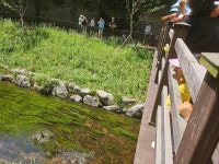 6/22(일) 영덕천 맑은하천만들기-흥덕마을 - 외부지원수업 - 길토래비자연학교*^^* 6/22(일) 영덕천 맑은하천만들기-흥덕마을