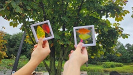 9.13(토) 햇한숲 만골근린공원 10시 8명 - 사회환경교육 - 길토래비자연학교*^^* 9.13(토) 햇한숲 만골근린공원 10시 8명