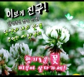 성격은 얼굴에서 나타나고, - ★좋은 글 영상 - 석 란 정 성격은 얼굴에서 나타나고,