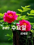 사랑과 행복의 열매 가득맺는 10월 되시기를 기원 드립니다... 한울타리💜 사랑과 행복의 열매 가득맺는 10월 되시기를 기원 드립니다