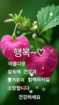 11월 건강하고 행복하게 출발 하세요 인사말 이미지 - 📷예쁜움짤이미지(gif) - 💜산야와 한울타리💜 11월 건강하고 행복하게 출발 하세요... 