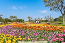청주 문암생태공원 - 24회 유종수 - 괴산 신기초등학교 총동문회 청주 문암생태공원