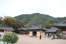 밀양표충사~포항보경사를 다녀왔습니다... - 카페앨범 - 담비dambi-mountains 밀양표충사~포항보경사를 다녀왔습니다...
