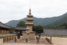 밀양표충사~포항보경사를 다녀왔습니다... - 카페앨범 - 담비dambi-mountains 밀양표충사~포항보경사를 다녀왔습니다...