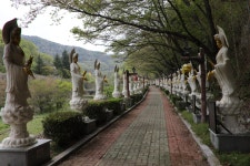 의령/벽화산(522m):척곡마을~벽화산성~벽화산~향수고개~원점희귀 - 산사진 & 산행정보 - 담비dambi-mountains 의령/벽화산(522m):척곡마을... 