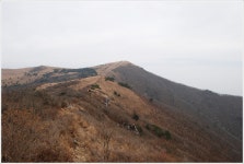 ♣9/10(일)소백산(죽령~연하봉~비로봉)산행 - 출발9/10(일)소백산(죽령~연하봉~비로봉)산행 - 다음매일 산악회 ♣9/10(일)소백산(죽령~연하봉... 