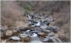 ♣9/10(일)소백산(죽령~연하봉~비로봉)산행 - 출발9/10(일)소백산(죽령~연하봉~비로봉)산행 - 다음매일 산악회 ♣9/10(일)소백산(죽령~연하봉... 