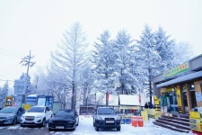 아쉬웠던 계방산 상고대 (2025. 12. 28) - 　　　…☺산행사진+후기。 - 다음매일 산악회 아쉬웠던 계방산 상고대 (2025. 12. 28)