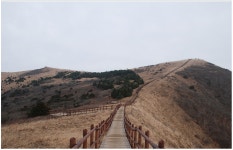 ♣9/10(일)소백산(죽령~연하봉~비로봉)산행 - 출발9/10(일)소백산(죽령~연하봉~비로봉)산행 - 다음매일 산악회 ♣9/10(일)소백산(죽령~연하봉... 