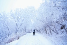 소백산 설경 산행 (2025. 12. 14) - 　　　…☺산행사진+후기。 - 다음매일 산악회 소백산 설경 산행 (2025. 12. 14)