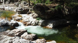8월 제338차 정기산행 안내: 달바위봉( 月巖峰 1,092m) 경북 봉화군... 8월 제338차 정기산행 안내: 달바위봉( 月巖峰 1,092m) 경북 봉화군