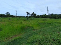 서귀포시 성산읍 수산리 수산초등학교 동북측 인근 임야 1,488평 - 10억 이상 토지 - 제주도부동산114 ♣ 경매 ♣ 급매 ♣ 전원주택... 