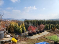 25년겨울 - 산울림농장 - 산울림알림판 25년겨울