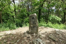 와룡산(299.6m), 궁산(250.9m) 대구광역시 - 일반 게시판 - 기분 좋은 산행(기산) 와룡산(299.6m), 궁산(250.9m) 대구광역시