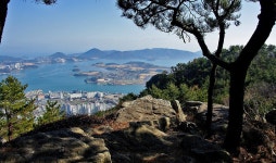 12월31일 수요무박 신년일출산행 여수 마래산 종고산 장군산 구봉산... 수요무박 신년일출산행 여수 마래산 종고산 장군산 구봉산 남산