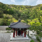 담담하게 걸어 갈 뿐 - 구례 삼정사스님 산사의 편지 - 아미타불과 함께하는 마음의 고향 무주선원 담담하게 걸어 갈 뿐